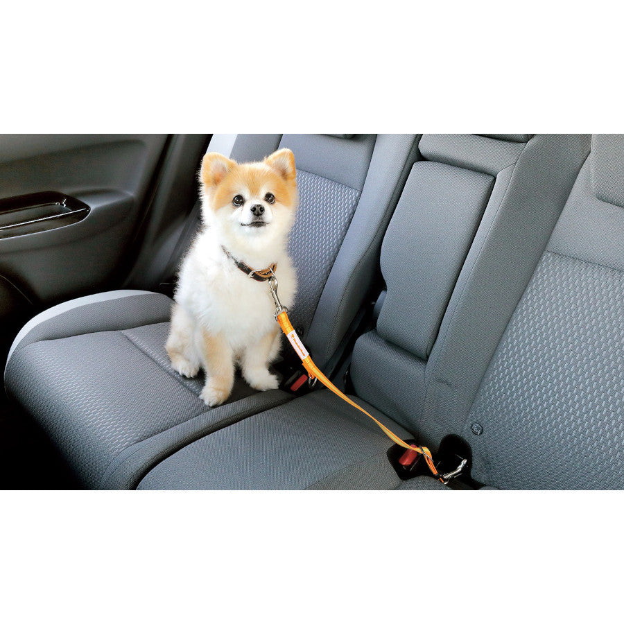 Honda Dog Lead for ISOFIX Seat