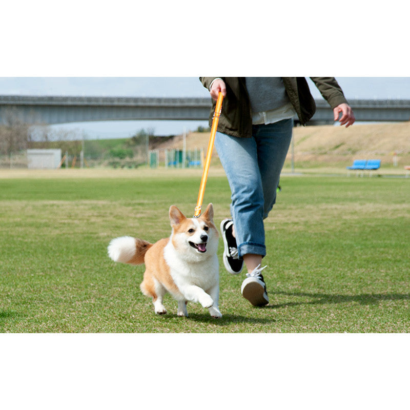 Honda Dog Lead for ISOFIX Seat