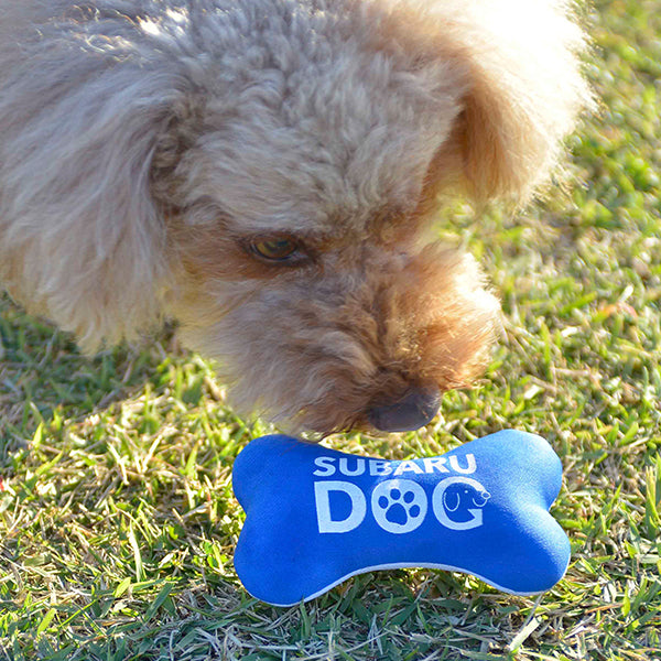 SUBARU DOG Original Toy (bone-shaped)