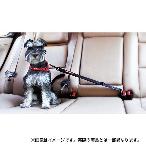 SUBARU DOG Easy Dog Click